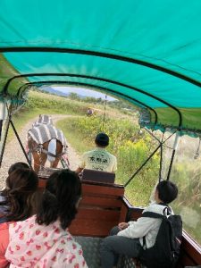 京馬車にゆられて